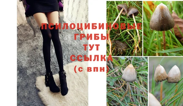 мяу мяу кристалл Алексеевка