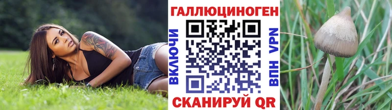 Галлюциногенные грибы GOLDEN TEACHER  Копейск 
